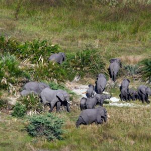 Arusha National Park